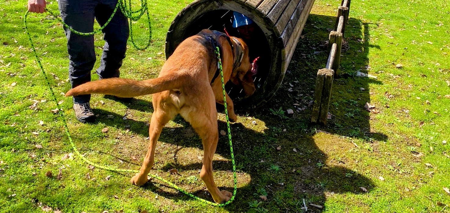 Workshop Aus Fragen werden Antworten