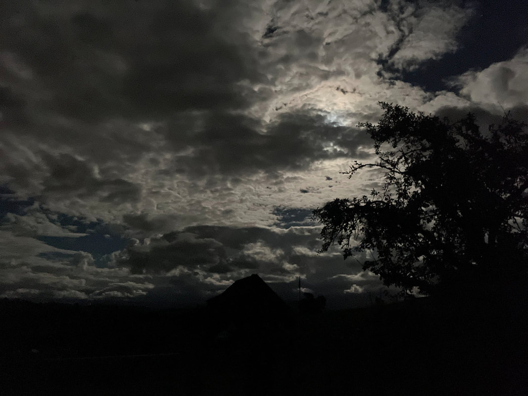 Nachttrail-Abenteuer mit Hund