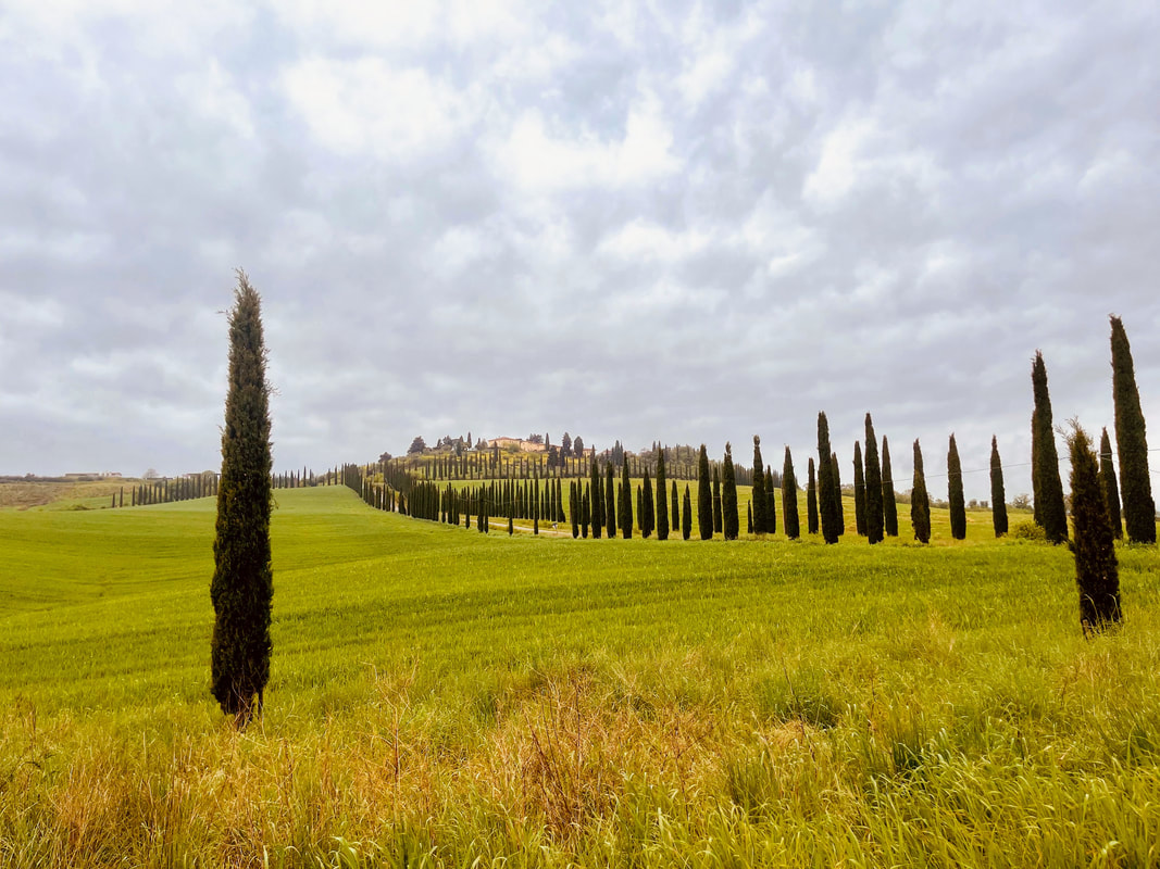 Toscana 2026 – Zypressen und sanfte Hügel